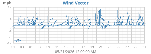 Wind Vector