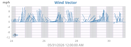 Wind Vector