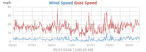 Wind Speed